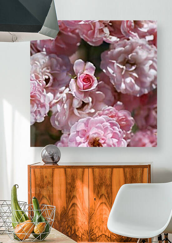 Pink Bud Among The Roses by Joy Watson