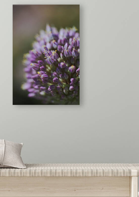 The Garlic Flower by Joy Watson