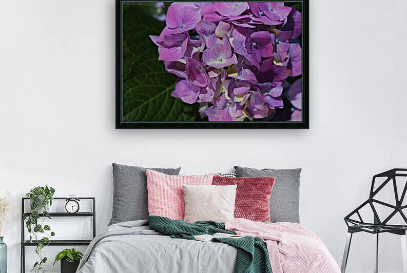 Hydrangea Of Blue Pink by Joy Watson