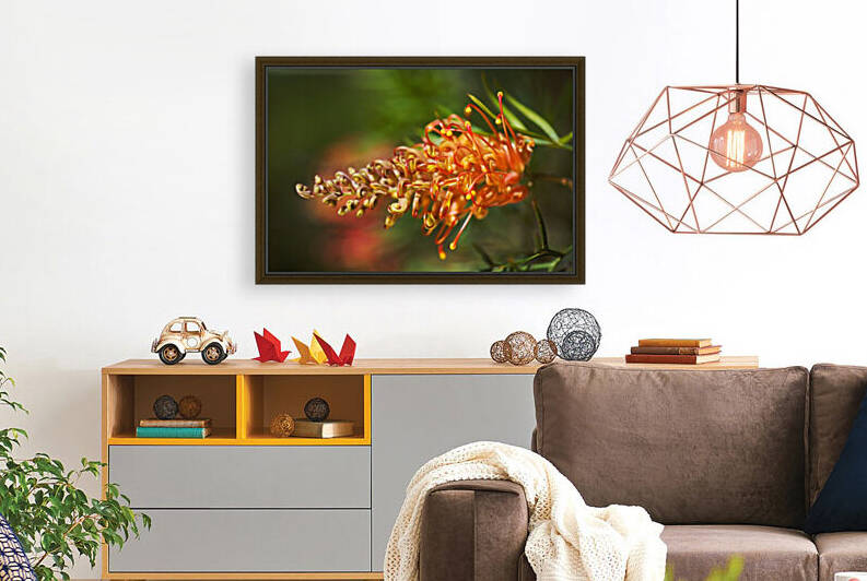 Grevillea Superb In Hot Summer by Joy Watson