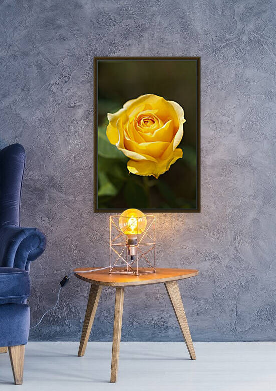 Gold Bunny Rose Summer by Joy Watson