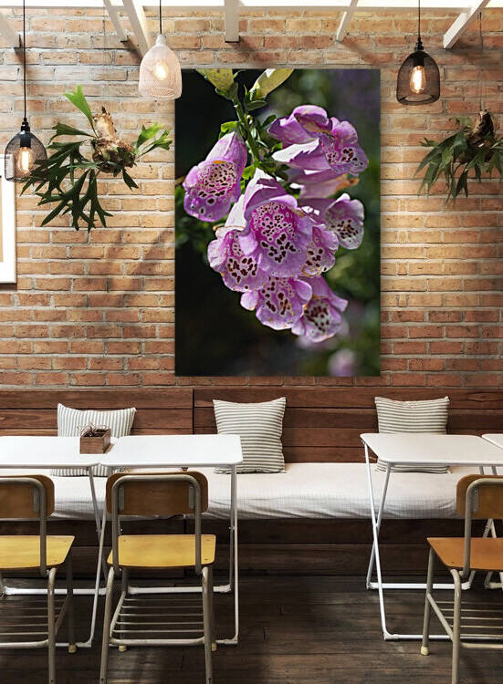 Foxglove Mauve Display  by Joy Watson