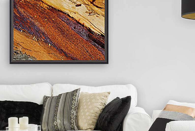 Eucalyptus Tree Natural Layers by Joy Watson