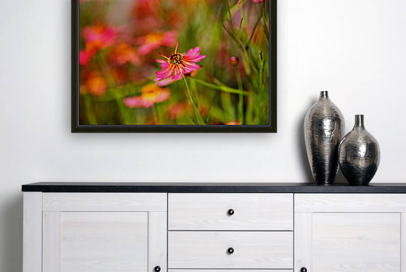 Rum Punch Plant Coreopsis Whispering by Joy Watson