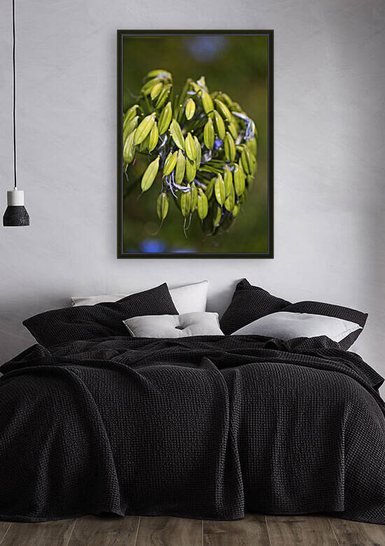 Agapanthus Season Ended by Joy Watson