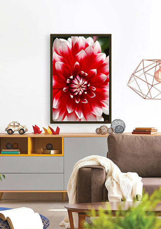 Red And White Dahlia Petal Circles by Joy Watson