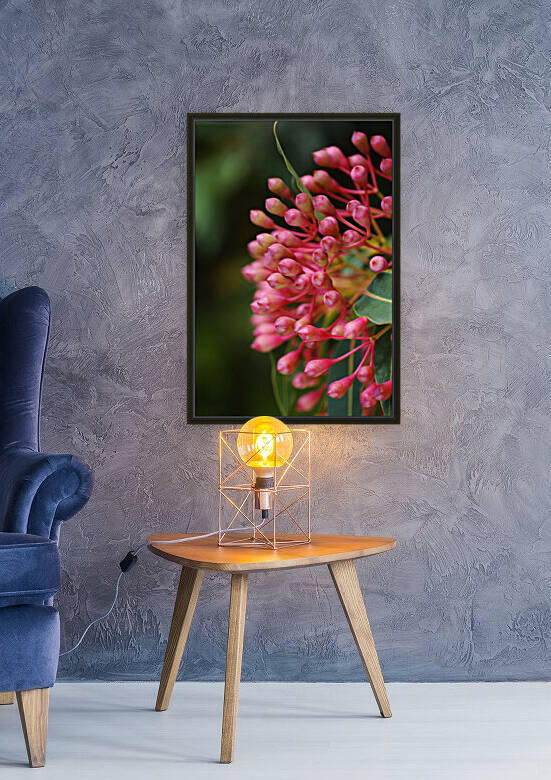 Australian Eucalyptus Red Corymbia Ficifolia by Joy Watson