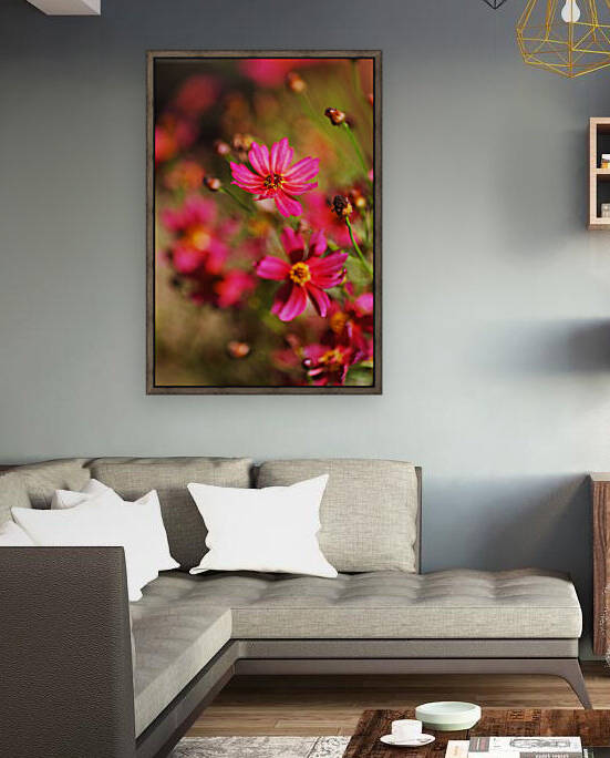 Rum Punch Plant Coreopsis Rich by Joy Watson