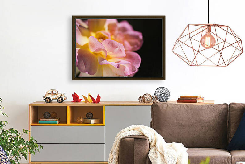 Rose With Blemishes Framed Eye  by Joy Watson