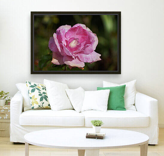 Pink Lorraine Lee Rose by Joy Watson