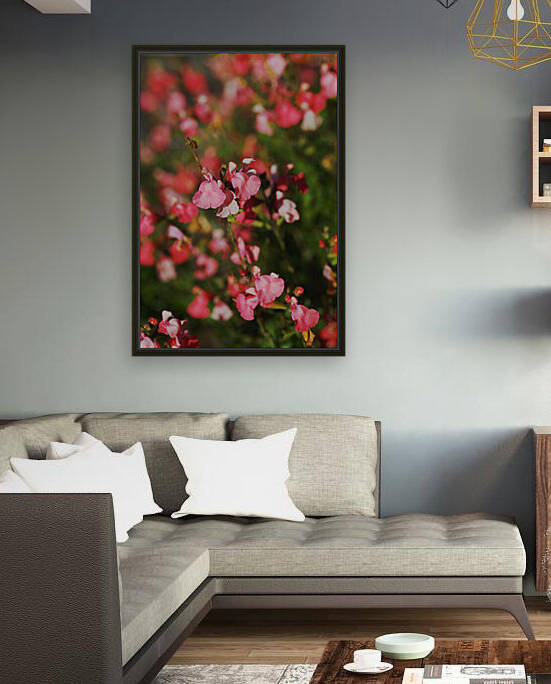 Coral Sage Flowers by Joy Watson