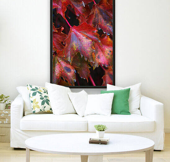Red Vine Autumn Leaves by Joy Watson