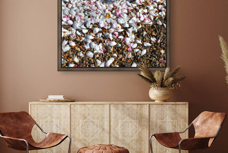 Camellia Petals by Joy Watson