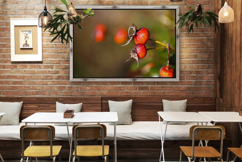 Rosehip Fruit Red by Joy Watson