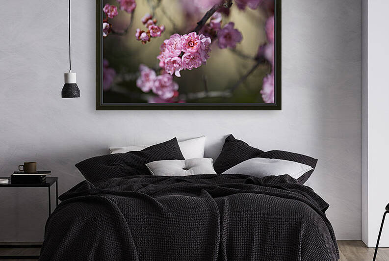 Prunus Blossom Dreams In Pink by Joy Watson