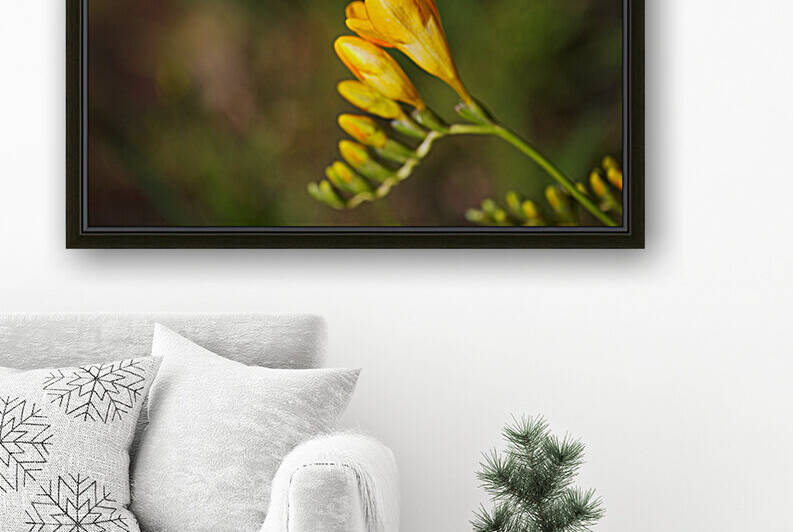 Moody Yellow Freesia Hand  by Joy Watson