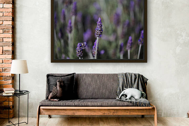 Lavender Flowers Dance  by Joy Watson