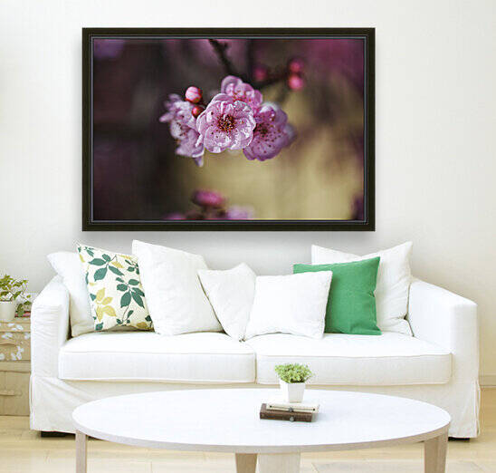 Prunus Blossom Pink Spring by Joy Watson