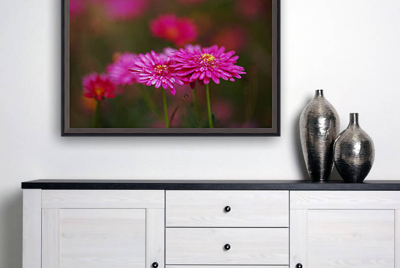 Hot Pinks Double Flower by Joy Watson