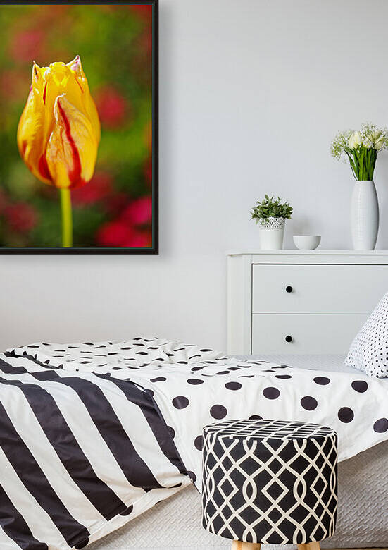 Bright Yellow With Red Tulip  by Joy Watson