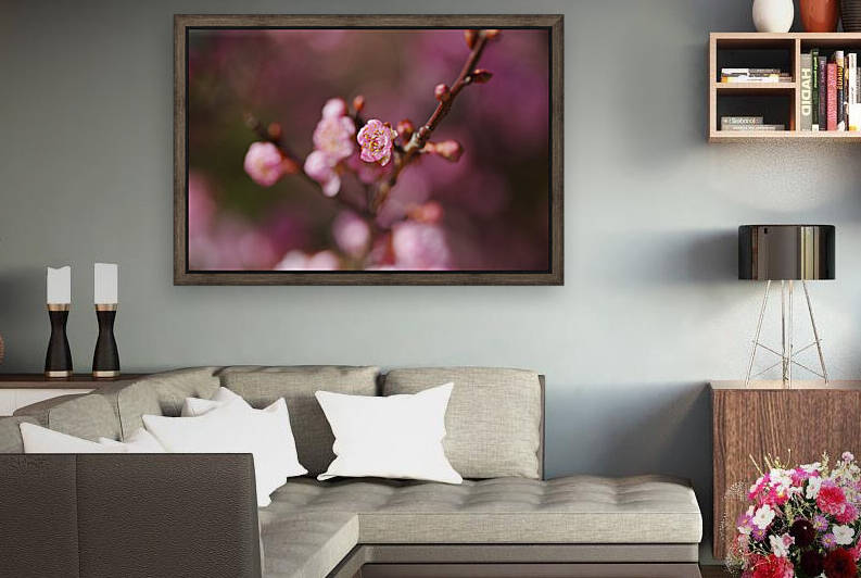 Blossom Pink Solo by Joy Watson