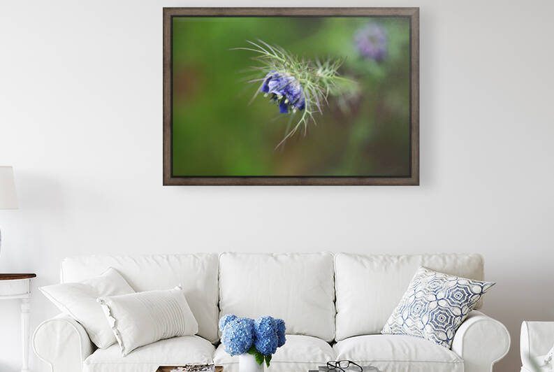Love In The Mist Rich Blue by Joy Watson
