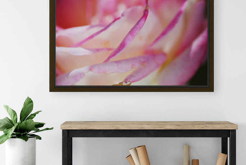 Rose Pleats Of Pink by Joy Watson