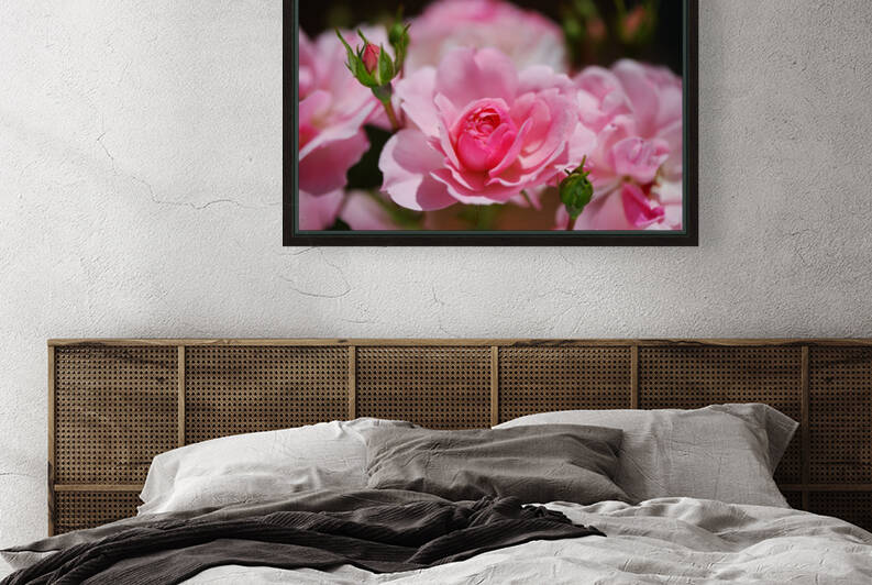 Pink Roses Summer Fresh by Joy Watson