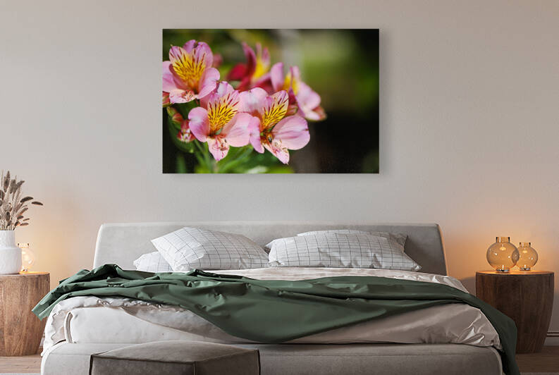 Tibouchina Chameleon Flower by Joy Watson