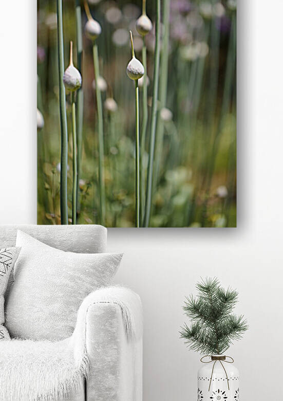 Many Garlic Buds  by Joy Watson