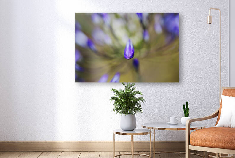 Agapanthus Bud Has Power  by Joy Watson