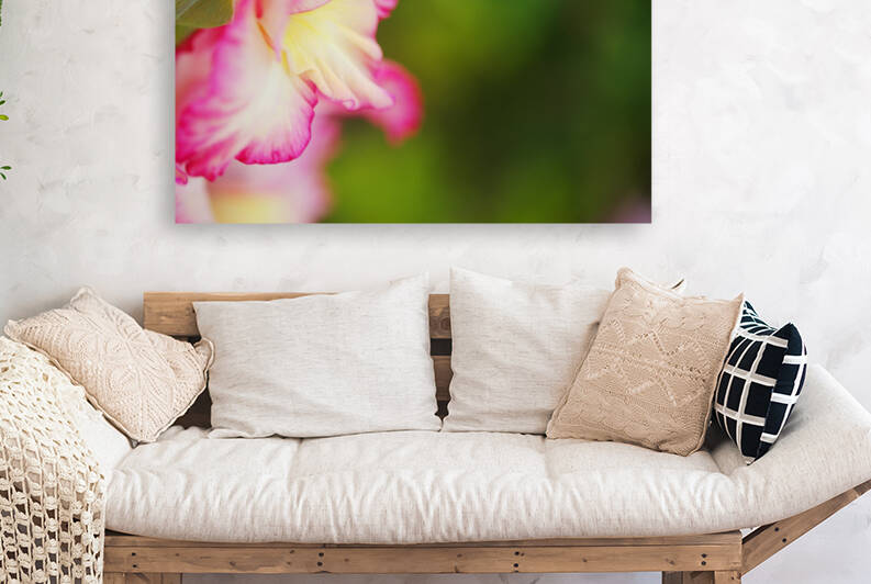 Gladioli Flower Whispers by Joy Watson