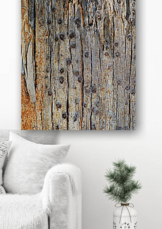  Eucalyptus Tree Bark Design by Joy Watson