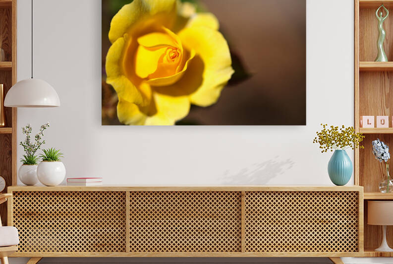 Wonderful Gold Bunny Rose by Joy Watson