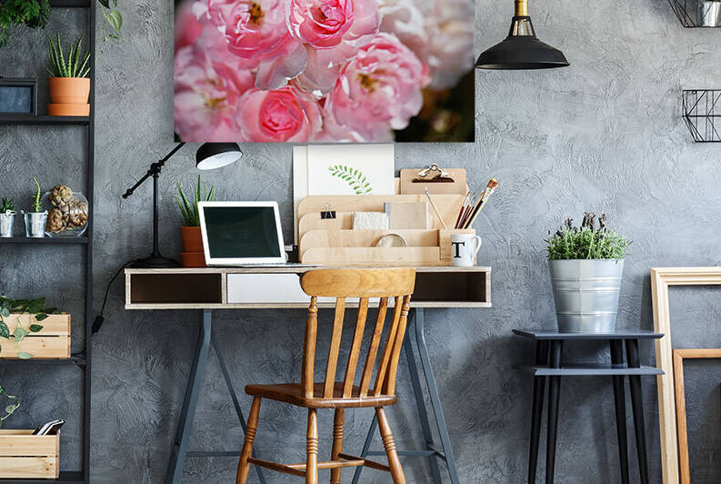 Pink And White Standout Roses  by Joy Watson