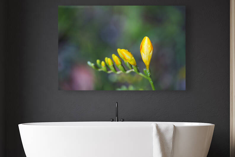 Freesia Yellow Opening Hand by Joy Watson