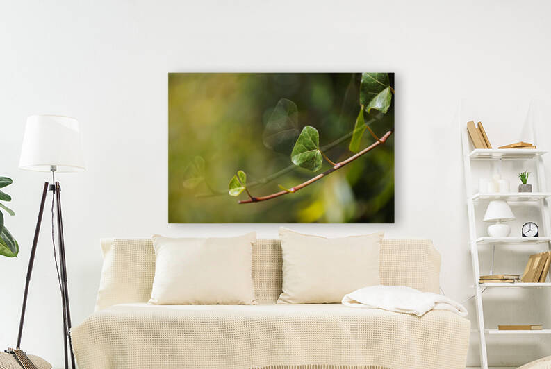 Ivy Leaves Have Movement by Joy Watson