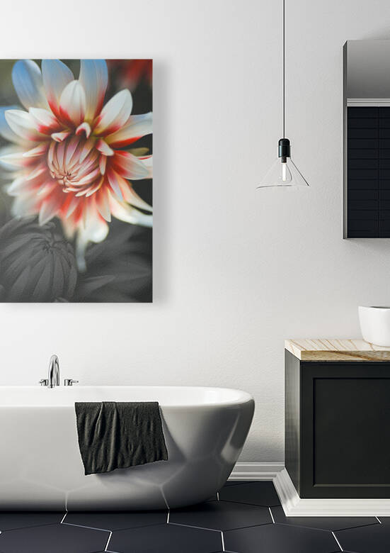The Tender Dahlias by Joy Watson