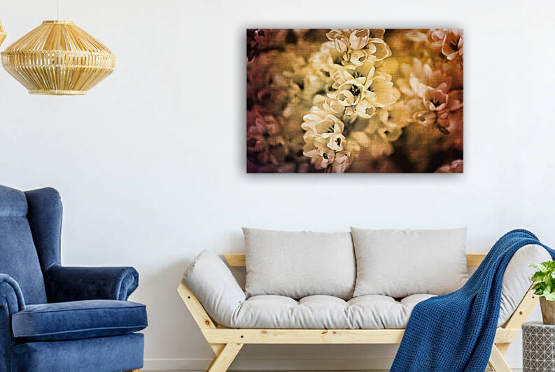 Rustic African Corn Lilies by Joy Watson