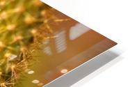 Cactus Spikes HD Metal print