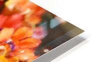 Orange Flower Display HD Metal print