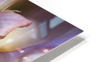 Purple Iris HD Metal print
