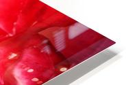 Red Rose Petals HD Metal print