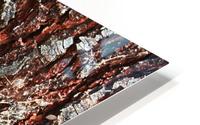 Pine Tree Bark On Trunk HD Metal print