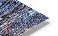 Palm Tree Trunk Blues HD Metal print