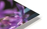 Purple Flower Ring HD Metal print
