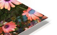 African Daisy Rich HD Metal print