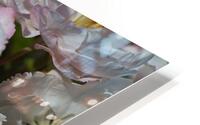 Crabapple Flowers HD Metal print