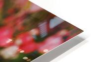 Coral Sage Flowers HD Metal print