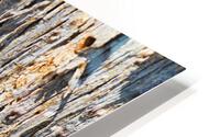  Eucalyptus Tree Bark Design HD Metal print